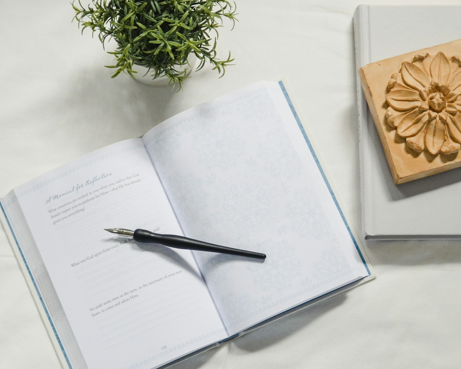 Finding Unexpected Joy in Daily Routines